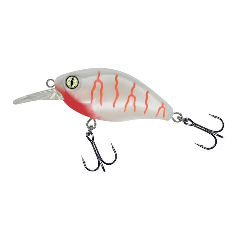 Westin BuzzBite DR Crankbait 6,5 cm 14 g, Hardbaits, Lures and Baits, Spin Fishing