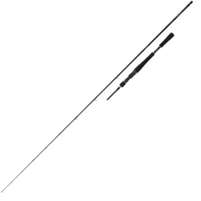 Daiwa DW Pro Staff BC 2.00m 30-80g