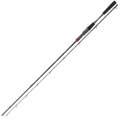 Daiwa Ballistic X BC 2.10m 8-35g