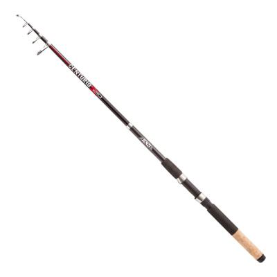 JENZI Tele Centurio X (20-50G) 2,10m