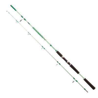 JENZI Solid Pro aus Vollglas, 2,10 m, 30-80 g.